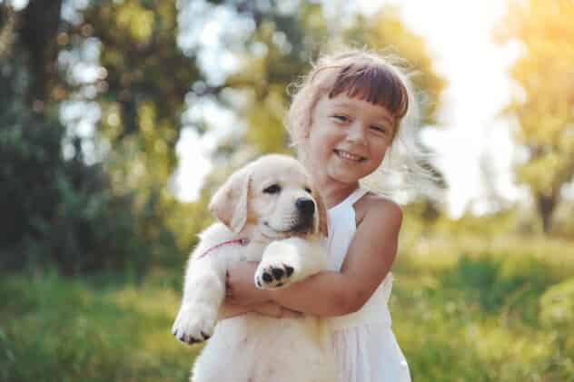 Children store and puppies