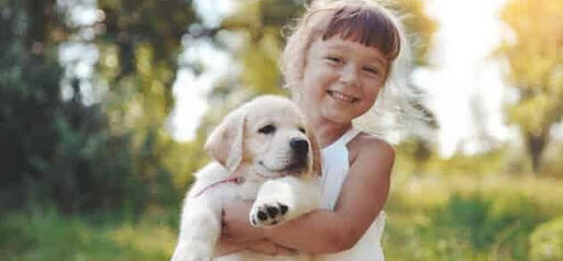 young girl holds cute puppy KHM Attorneys at Law Colorado Springs, Castle Rock
